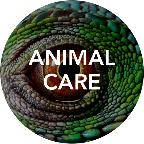 ANIMAL CARE